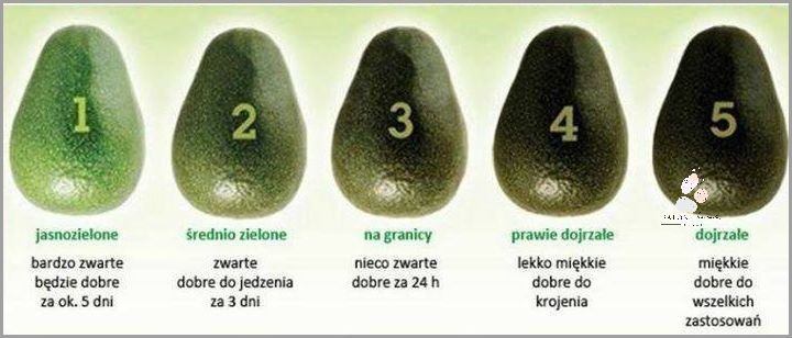 Czy Brodawka Łojotokowa Może Odpaść? Sprawdź!