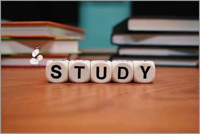 Czy Warto Iść Na Studia? Odpowiedź Cię Zaskoczy!