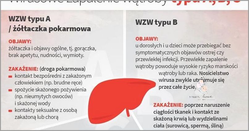 Czy Wzw B skraca długość Życia?
