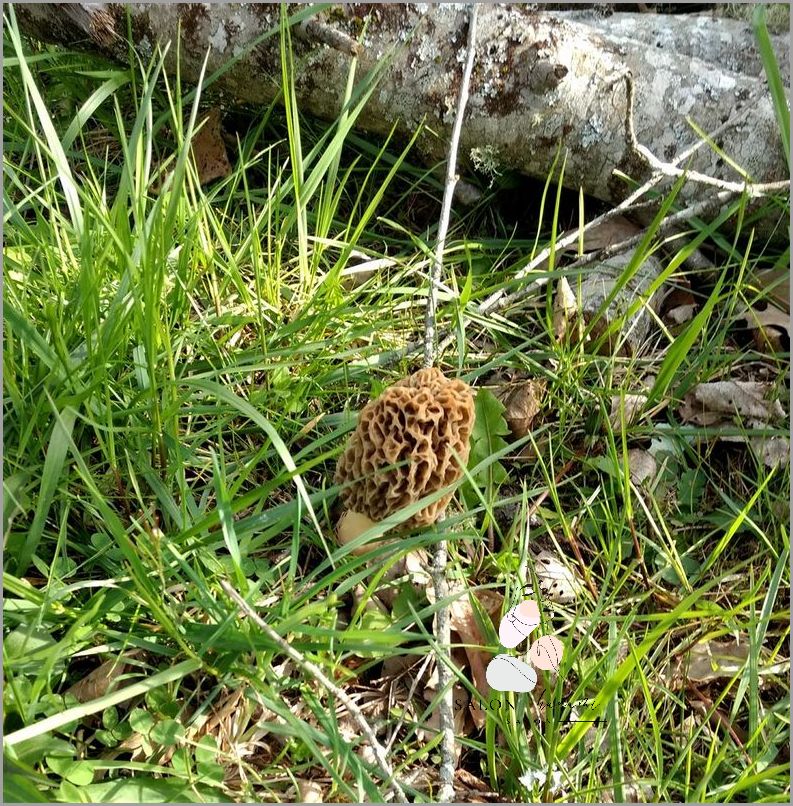 Forum Marker Ca 15 3 - Co się dzieje?