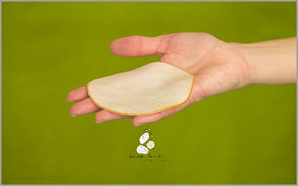 Ile Kalorii Ma Plaster Szynki? To Musisz Wiedzieć!