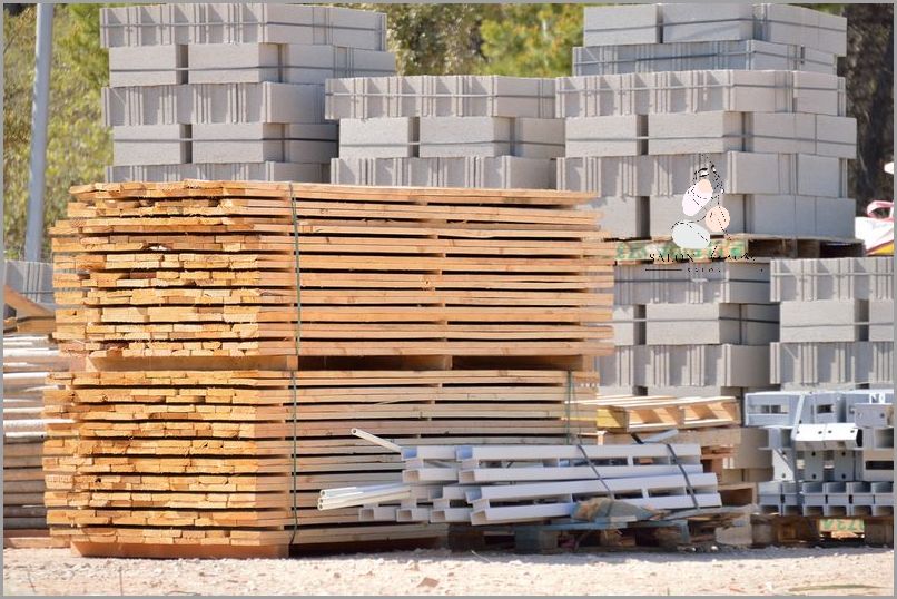 Ile Kosztuje Żółw Domowy? Oto Odpowiedź! Ile Kosztuje Żółw Domowy? Oto Odpowiedź!