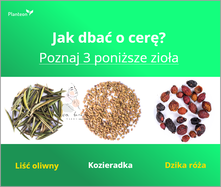 Jak Skutecznie Dbać o Cerę Suchej I Wrażliwą?