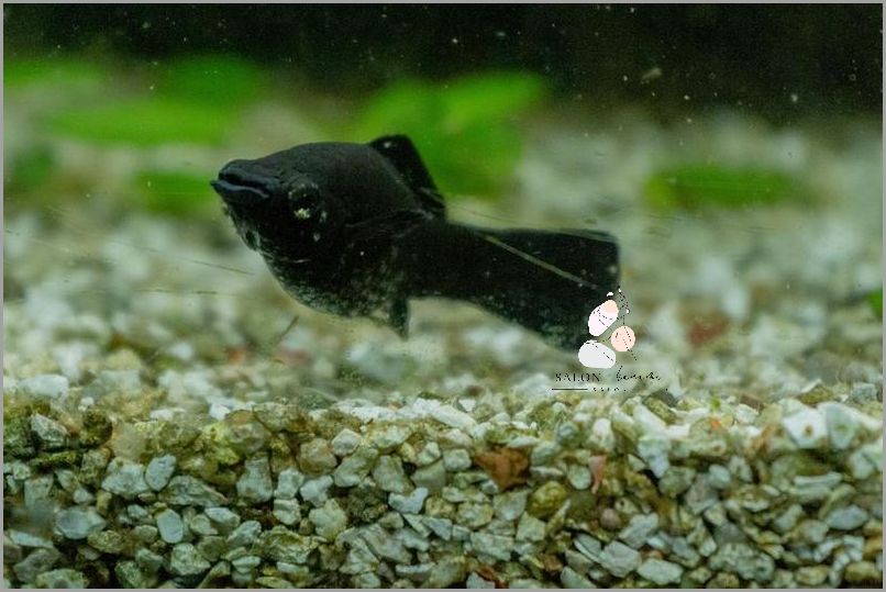 Jakie Tampony Dla Początkujących? Oto Najlepsze Wybory!