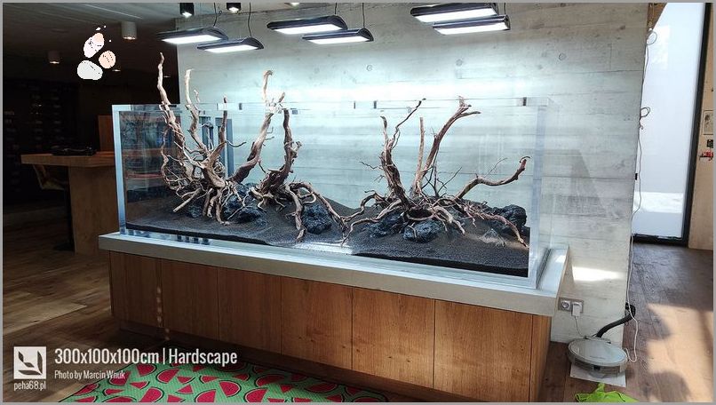 Julia Żugaj używa scrunchie: Wszystko, co musisz wiedzieć!