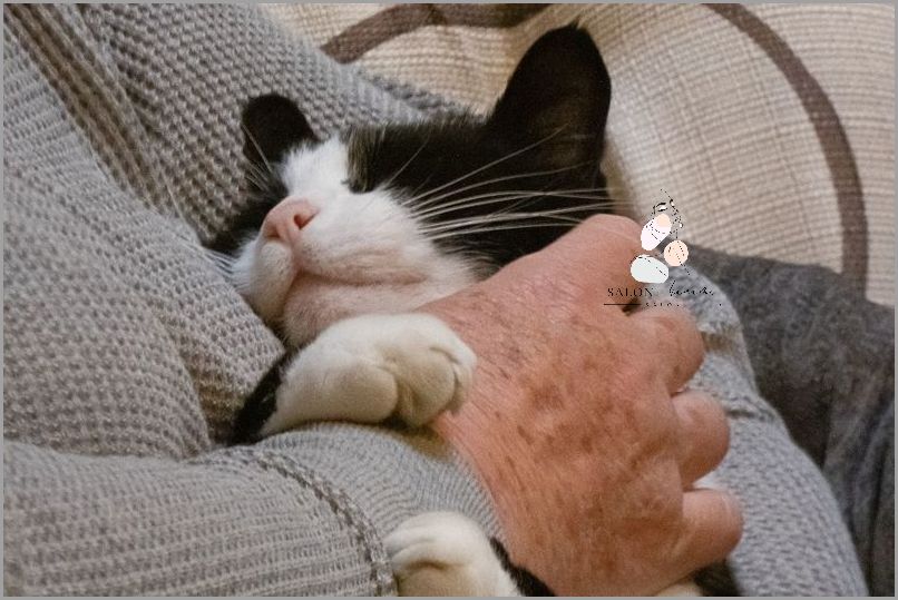 Od Ilu Lat Jest Lol? Odpowiedź Cię Zaskoczy!
