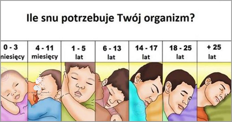 Od Ilu Lat Można Mieć Hybrydy? Sprawdź!