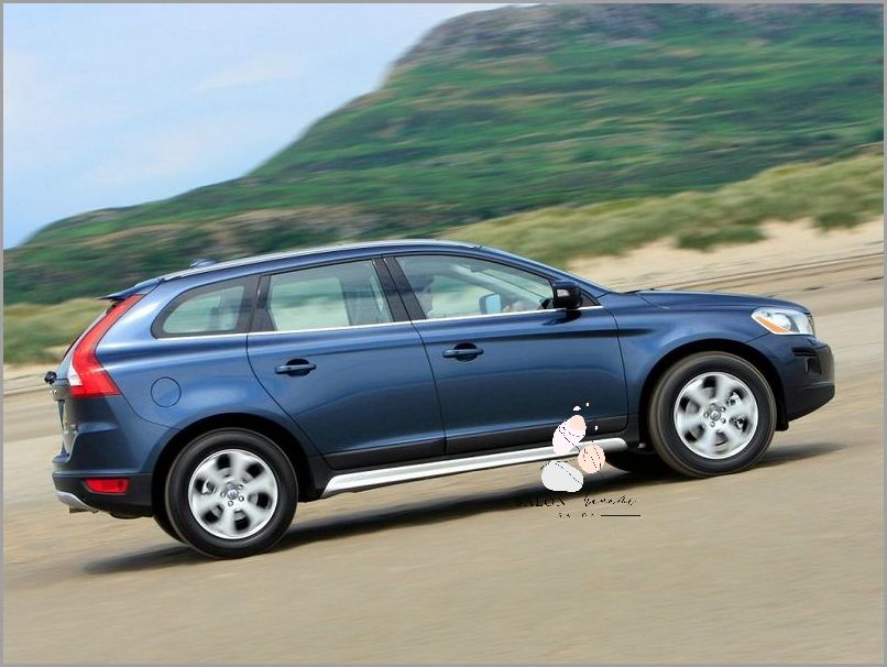 Pirolam Lakier - Opinie Forum: Co Mówią Użytkownicy?