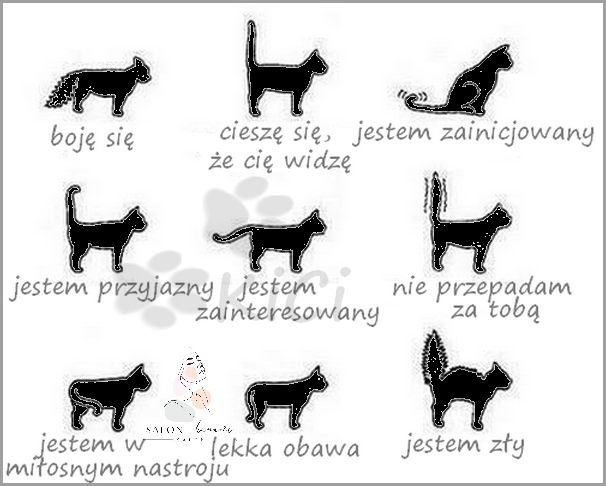 Ruchac Mi Sie Chce? Sprawdź, co to oznacza!