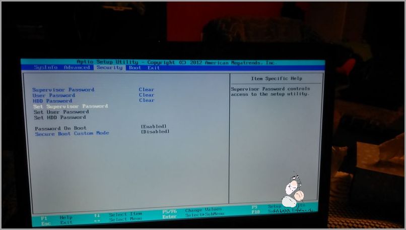 Tylko Bio Wizaz - Nie Przegap!