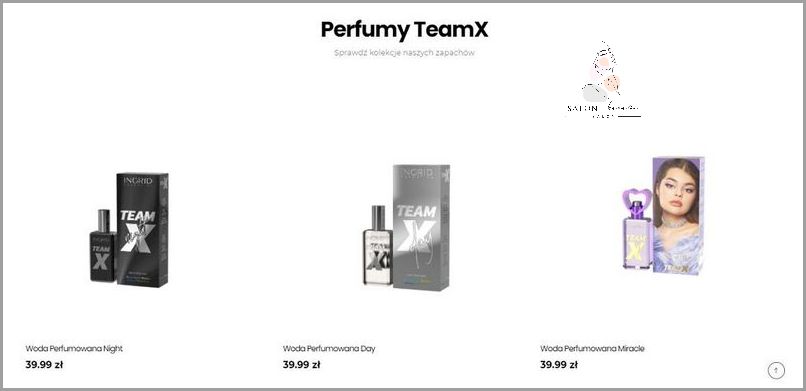 Ubrania Team X - Zdobądź Swój Look!