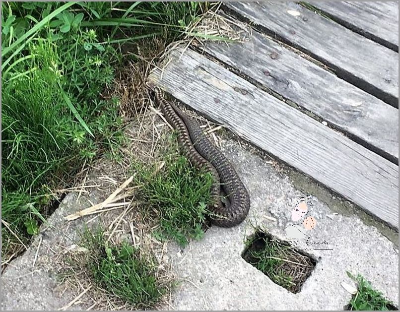 Uwaga! Żółte Plamy Pod Pachami Są Groźne!