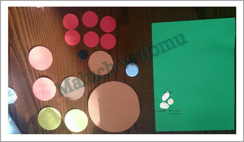 Uwaga! U Was Też Są Czarne Robaki W Domu?