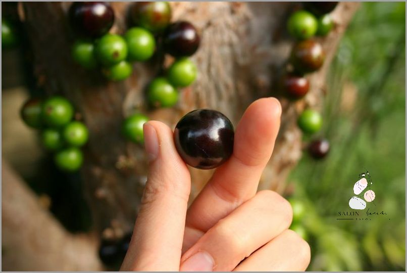 Uwaga! U Was Też Są Czarne Robaki W Domu?