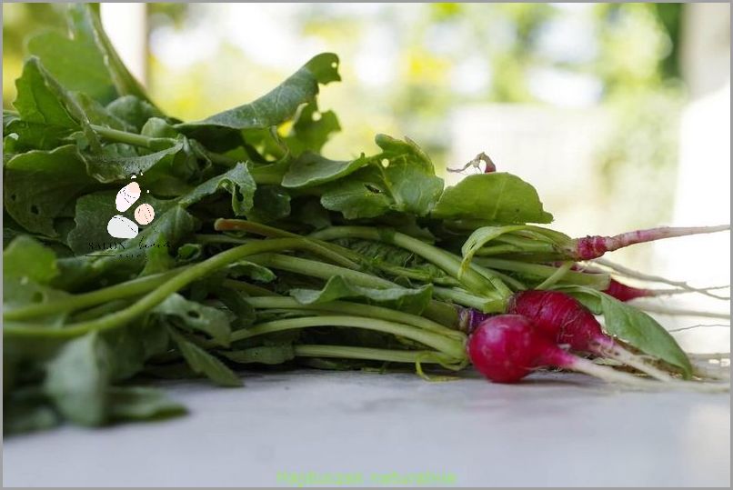 Zaskakująco Proste Sposoby na Kapustę Na Opuchlizne!