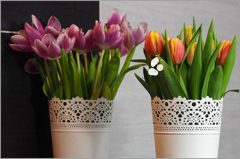 Zaskakująco Proste Sposoby na Kapustę Na Opuchlizne!