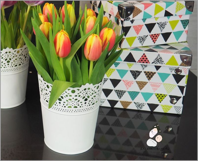 Zaskakująco Proste Sposoby na Kapustę Na Opuchlizne!