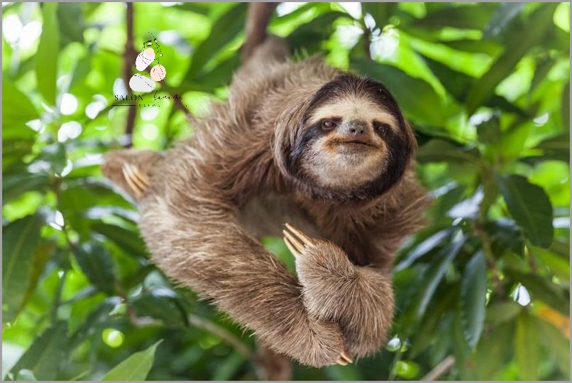 Blondyn Z Niebieskimi Oczami: Przeżyj Przygodę!