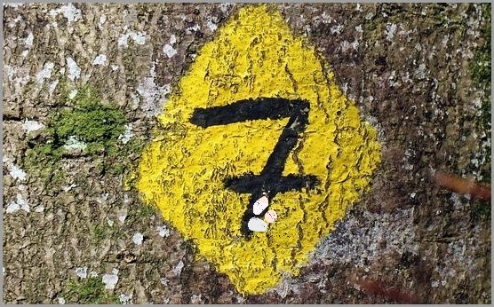 Co Oznacza Kolczyk W Pępku? Sprawdź!