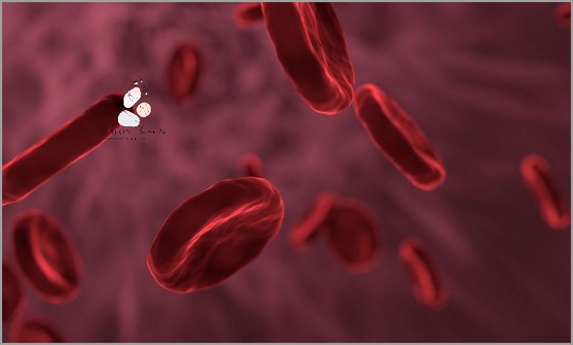 Co Oznacza Ślad Krwi W Moczu? Sprawdź!