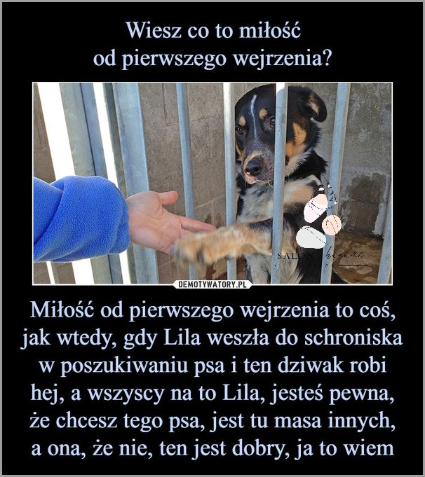 Co To Jest Palcowka? Uwierz, że nie wiesz!