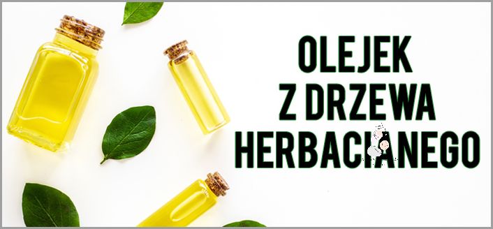 Cudowny Olejek Z Drzewa Herbacianego Na Trądzik!