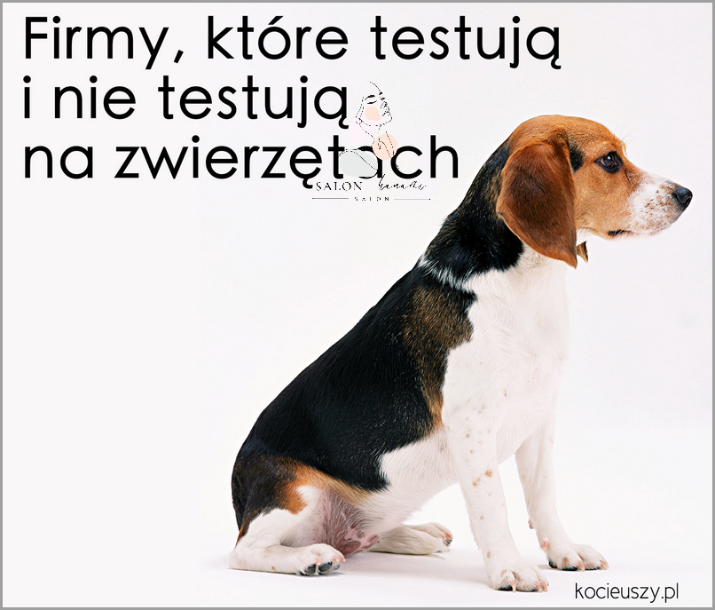 Czy Cerave Testuje Na Zwierzętach? Sprawdź!