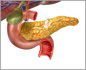 Forum o Umieraniu na Rak Płuc.