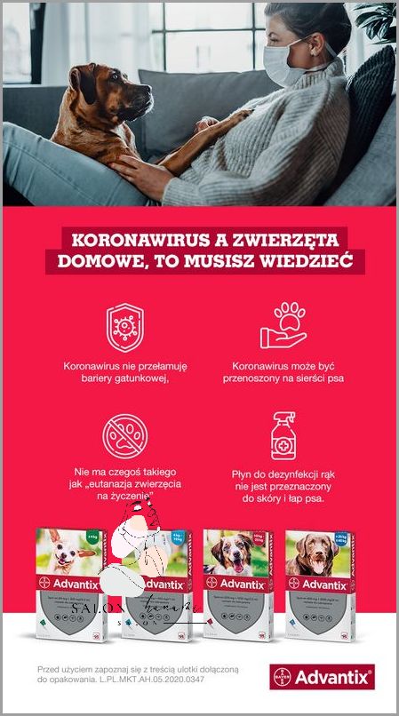 GBS Dodatni A Współżycie - Co Należy Wiedzieć?