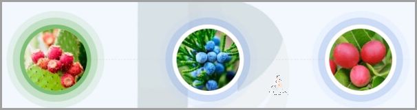 Holisten Na Odchudzanie: Sprawdź Cenę!