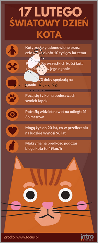 Ile Dzien Dluzszy Od Najkrótszego? Sprawdź Szybko!