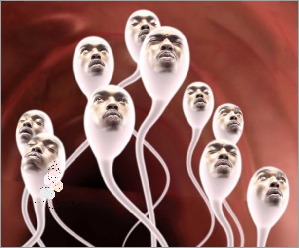 Ile Żyje Plemnik W Pochwie? Odpowiadamy!