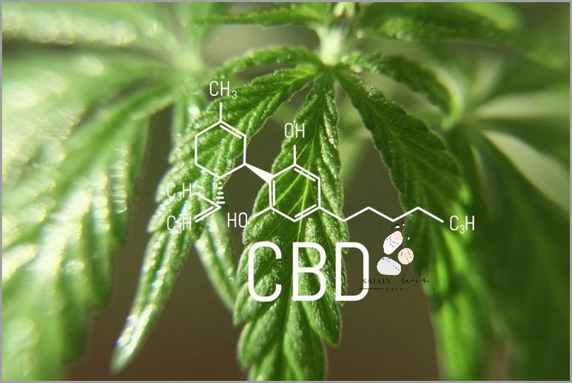 Jak Działa Cbd? Dowiedz się teraz!