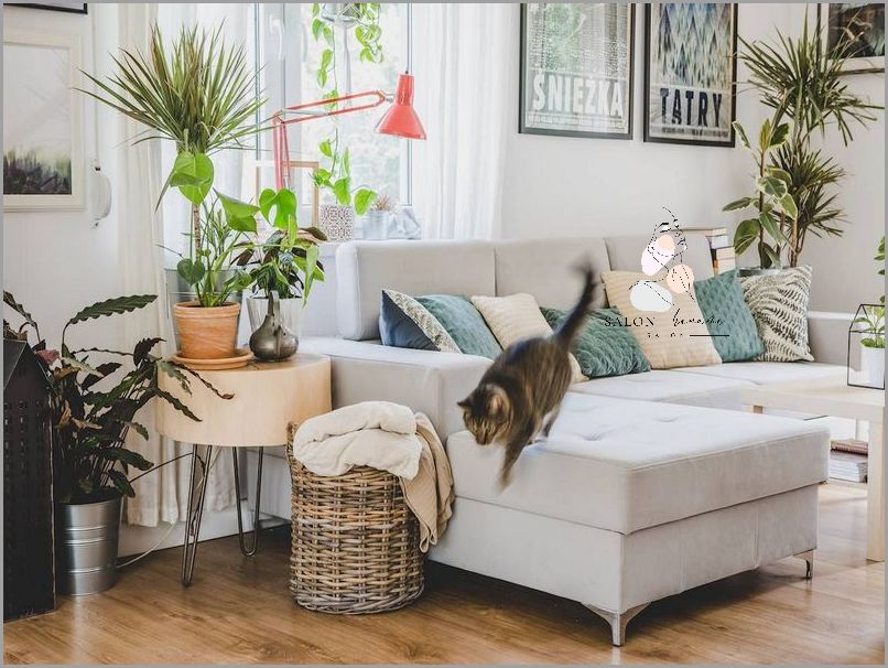 Jak Parzyć Len Mielony? Poznaj Sekret! Jak Parzyć Len Mielony? Poznaj Sekret!