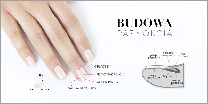 Jak Pobudzić Łożysko Paznokcia? Sprawdź! Jak Pobudzić Łożysko Paznokcia? Sprawdź!
