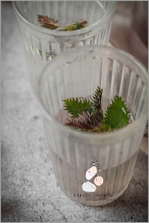 Jak Zrobić Wcierkę Ze Świeżej Pokrzywy? Jak Zrobić Wcierkę Ze Świeżej Pokrzywy?