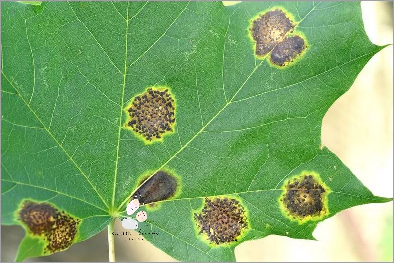 Jaki Kwas na Przebarwienia? Sprawdź Te Skuteczne Sposoby!