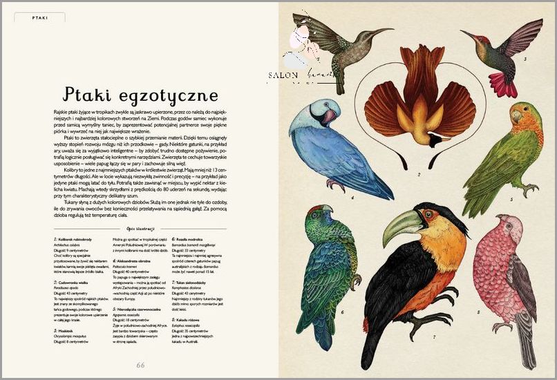 Jakie Marki Testują Na Zwierzętach? Oto Niezwykłe Odkrycie!