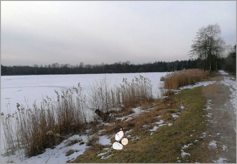 Kadzidłowiec Na Stawy Forum - Co dzieje się tam?