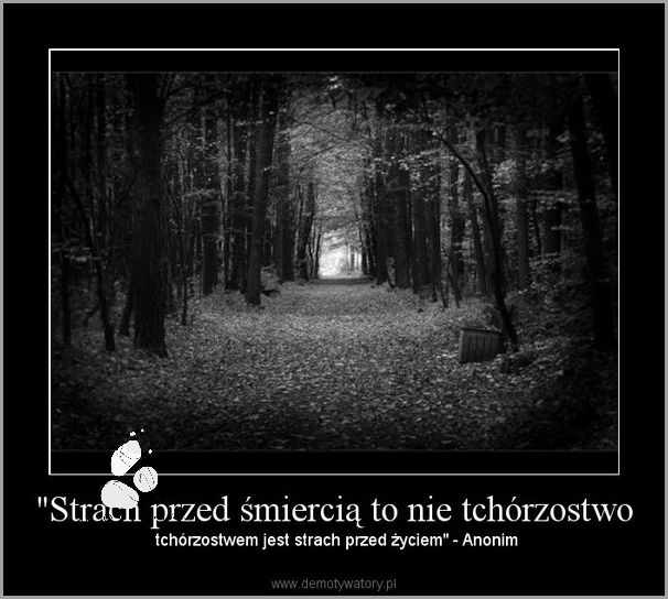Kiedy Zaczyna Bić Serce Płodu? Odkryj Prawdę!