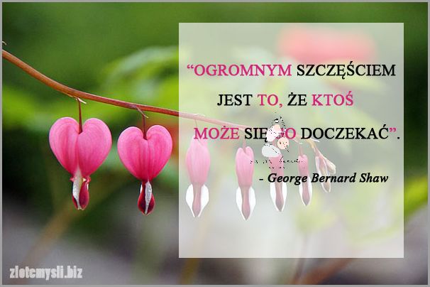 Najlepsza Maść Na Opryszczkę - Zmień Swoje Życie!