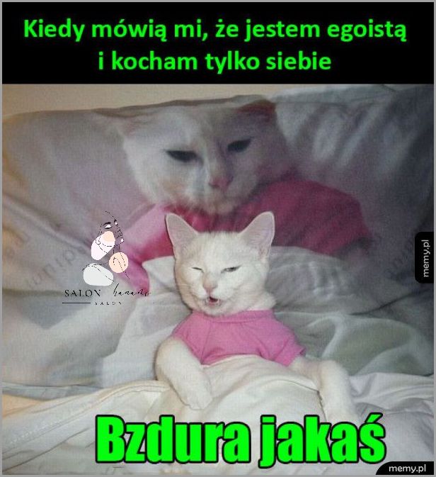 No I Nie Podobasz Mi Się: Nieoczekiwana Reakcja! No I Nie Podobasz Mi Się: Nieoczekiwana Reakcja!