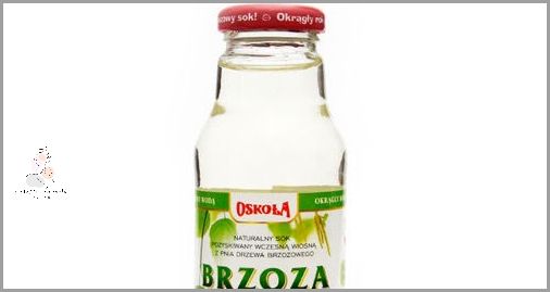 Odkryj, Jak Się Nazywa Sok Z Brzozy!
