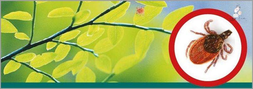 Uwaga! Kolczyk W Pępku - Objawy Zakażenia