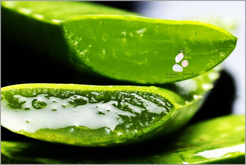Uzyskaj Natychmiastową Ulgę: Aloes Na Oparzenia Słoneczne.