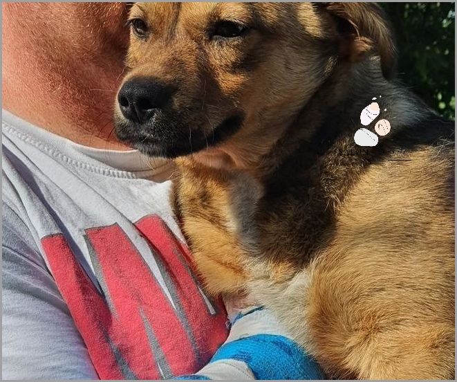 Widoczne Żyły Pod Oczami - Zobacz, Co Cię Czeka!