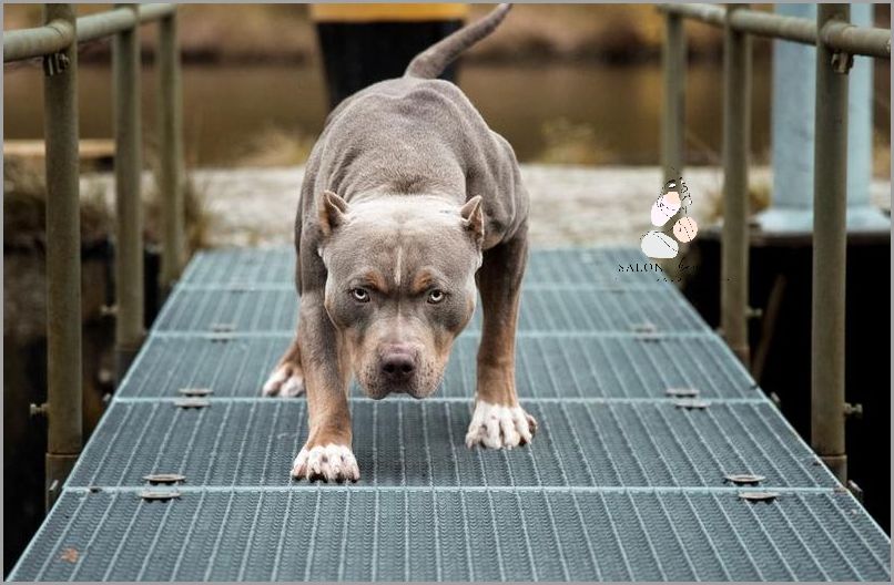 Zobacz, co mówią o Zoxin-med! Opinie