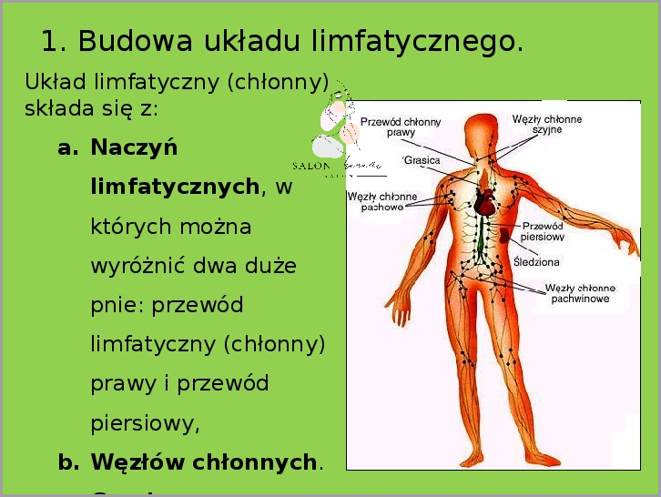 Zobacz Zdjęcia Powiększonych Węzłów Chłonnych Pachwinowych!