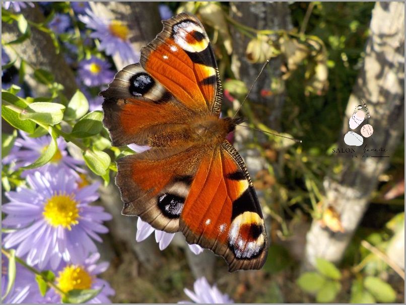 Jak Składać Długopisy W Domu? Sprawdź! Jak Składać Długopisy W Domu? Sprawdź!