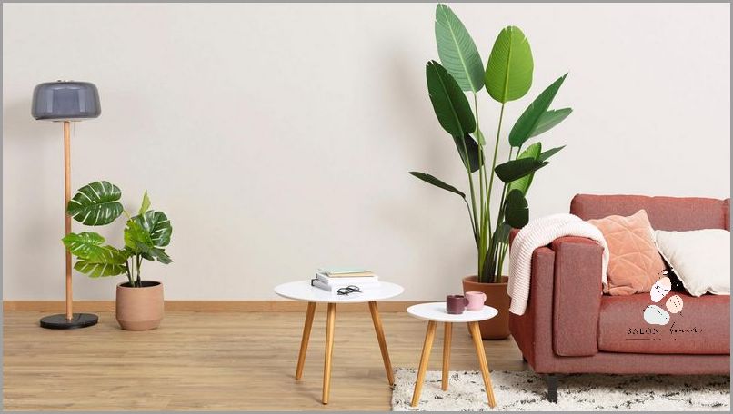 Jak Zmienić Kolor Z Ciemnego Na Jasny?